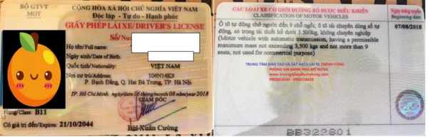 Giấy phép lái xe ô tô là gì? Những loại giấy phép thông dụng 2 Bằng lái xe hạng B1 số tự động